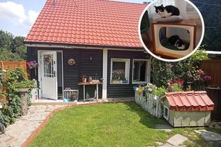 Ruderę do rozbiórki zamienili w nostalgiczny wiejski dom. „Widziałam w nim potencjał przytulnej chatki jak u prababci“ 