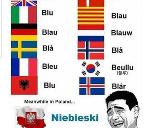 Zagraniczne memy o Polsce i Polakach. Tak nas widzą mieszkańcy innych krajów!