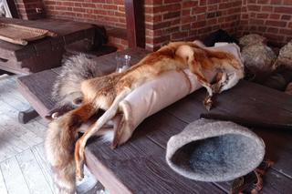 Średniowiecze da się lubić