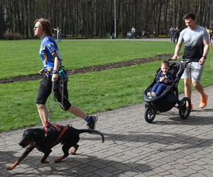 Parkrun Katowice. Wielkanocne bieganie w Parku Kościuszki