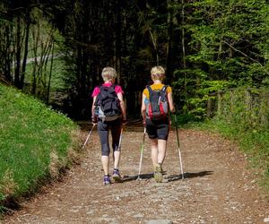Przejdą szlakiem walk Powstania Zamojskiego.  Zobaczą miejsca związane w walkami na Zamojszczyźnie