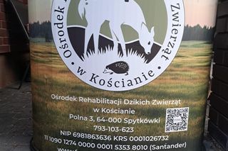 Mieszkańcy gminy Kuślin uratowali bociana