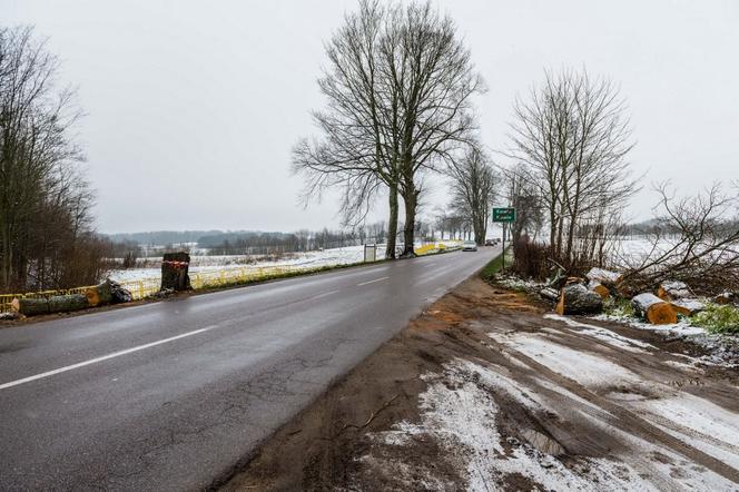 WARIAT Z PIŁĄ grasuje na Pomorzu! "Naciął kilkadziesiąt drzew". Jedno RUNĘŁO NA DROGĘ