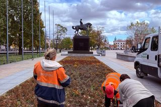 Wymiana nasadzeń sezonowych w centrum Lublina [AUDIO]