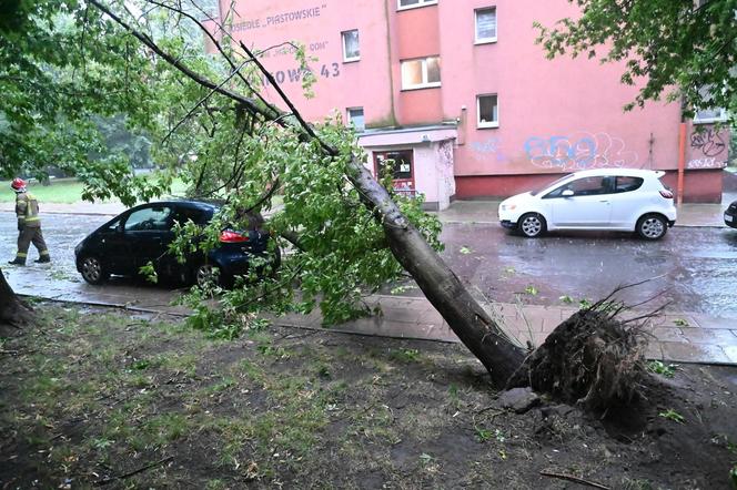 Burze i nawałnice przeszły nad Polską. Strażacy podali miażdżące dane