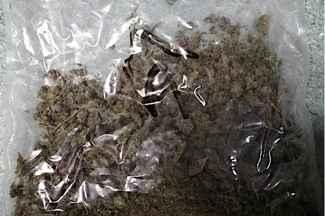 Na komendę przyszedł... z marihuaną. Kuriozalna sytacja w Wielkopolsce