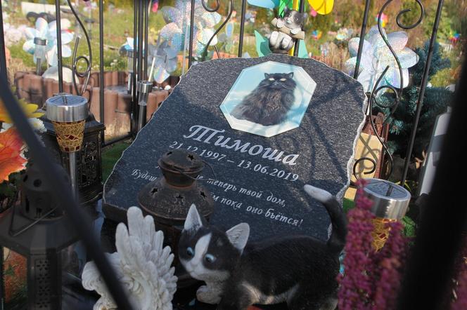 Cmentarz dla zwierząt w Koniku Nowym. „Moje serce jest Twoim domem, będziesz w nim żył dopóki będzie biło”