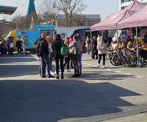 Food Truck Festival w Bydgoszczy, czyli trzy dni pełne smaków i dobrej zabawy!