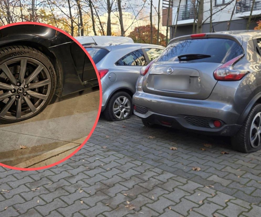 Zemsta za mandaty we Wrocławiu? Wandale zniszczyli prawie 100 aut