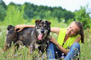 Morus czeka na nowy dom. Adoptuj psa ze schroniska w Białymstoku