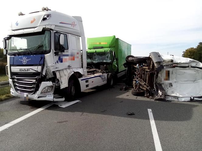 Modła królewska - koszmarny wypadek na A2