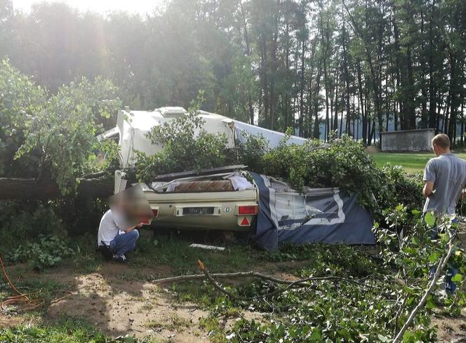 drzewo przygniotło przyczepę kempingową)