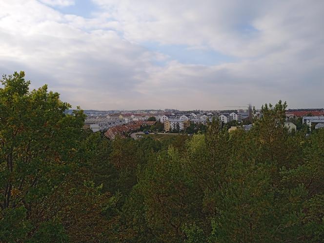 Kozacza Góra w Gdańsku. Mało osób wie o tej wieży widokowej w centrum miasta 