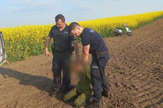 Wielkopolskie. Uciekał przed policją skuterem, a potem pieszo przez pola rzepaku! Policjanci łapali się za głowy  [ZDJĘCIA]