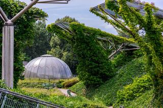 Ogród na dachu BUW w Warszawie