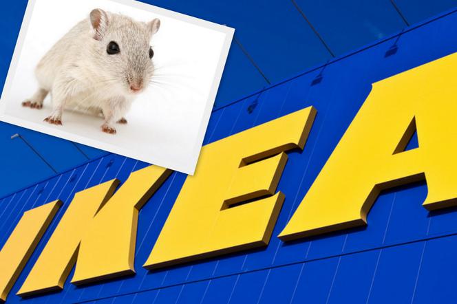 IKEA wycofuje produkt z powodu myszy