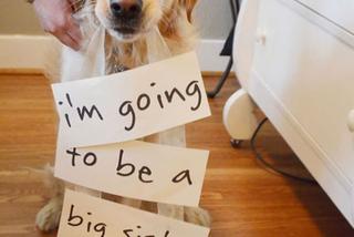 Jak powiedzieć o ciąży? Zobacz kreatywne sposoby na ogłoszenie szczęśliwej nowiny!