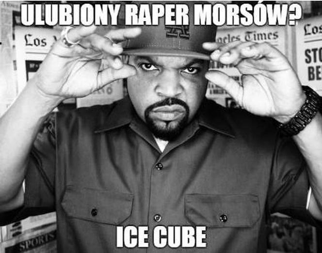 Morsowanie: MEMY 2021. Zobacz najlepsze obrazki i memy o morsowaniu! [ZDJĘCIA]