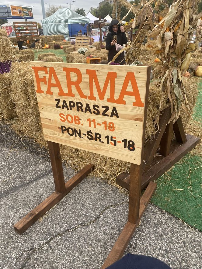 Farma Dyniowa