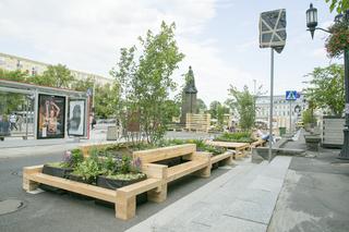 Zazielenianie stolicy. Posadzą 2137 nowych drzew i krzaków! „Nowoczesna Warszawa to miasto zielone”