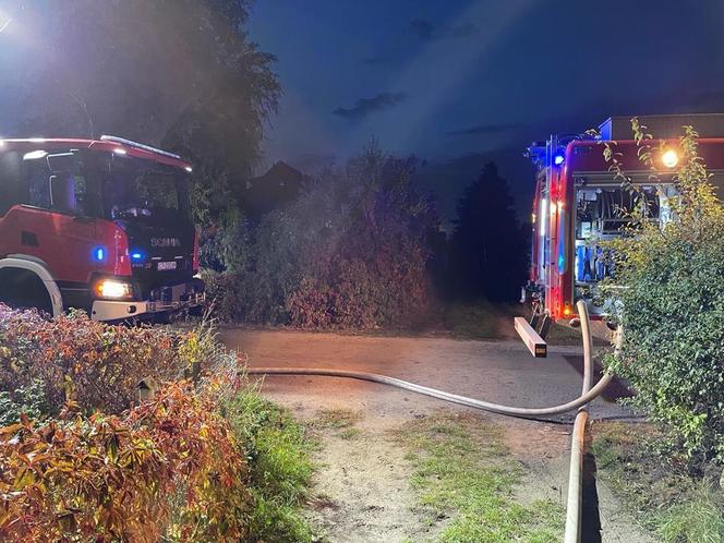 Pożar domku letniskowego na działkach ROD w Toruniu