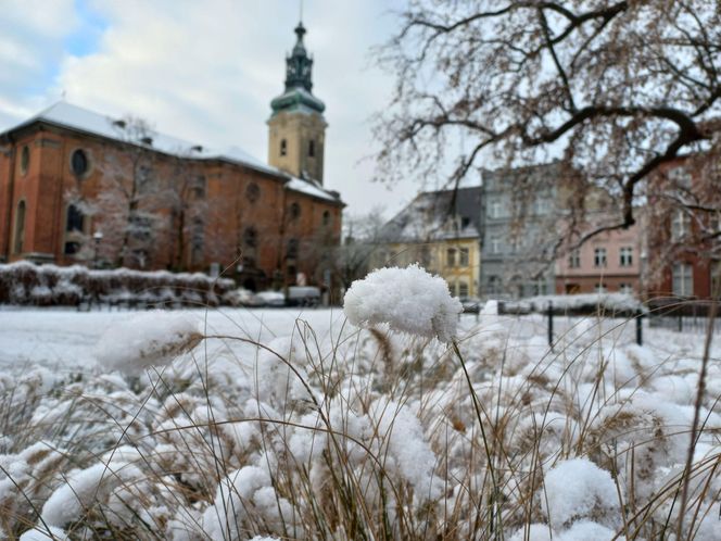 Początek sezonu zimowego w Lesznie - 22 listopada 2024