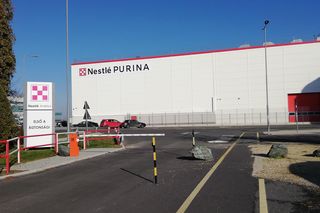 Gigant spożywczy zapowiada masowe zwolnienia. Pracę straci 16 tys. osób