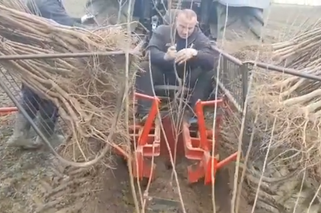 Mariusz Pudzianowski pracuje na polu