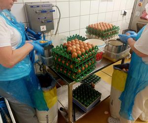 Cukiernia Sowa, linia produkcyjna