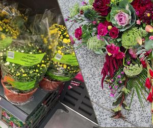 Chryzantemy 2025: Ceny i trendy