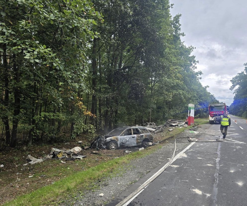Tragiczny wypadek pod Oleśnicą. Samochód uderzył w przystanek