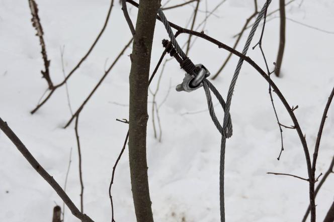 Policjanci znaleźli kłusownika po śladach zostawionych na śniegu