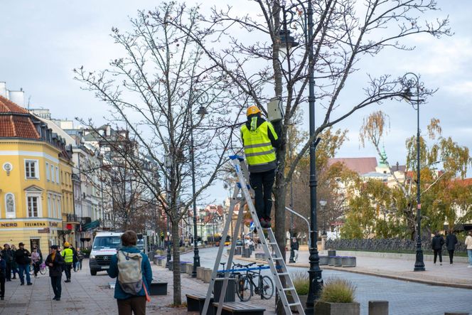 Montaż świątecznej iluminacji w Warszawie