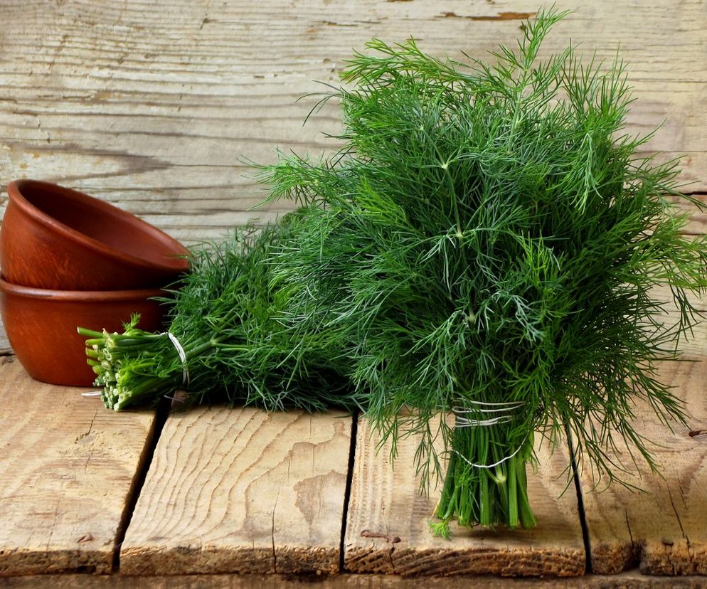 Koperek - wartości odżywcze i zastosowanie