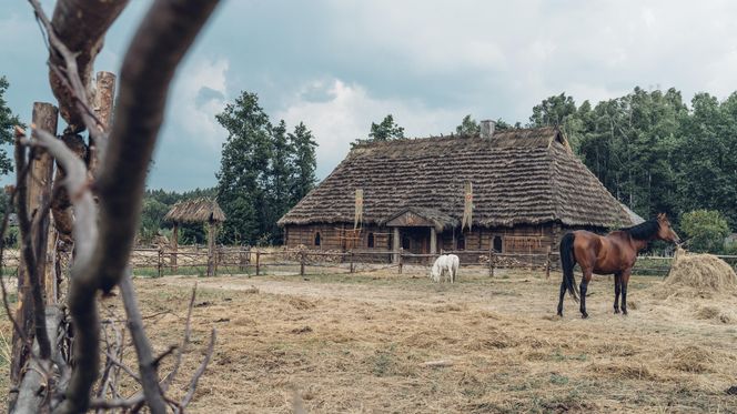 Oraz piękna, skąpana w słońcu Adamczycha.