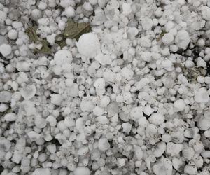 Zniszczone plantacje warzyw i owoców na Dolnym Śląsku. To był prawdziwy armagedon 