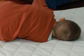 Barwy szczęścia, odcinek 3061: Dobromir (Franek Bukowski)