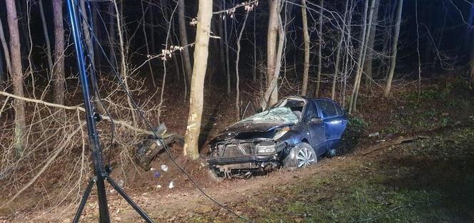16-letnia dziewczyna zginęła wskutek wypadku drogowego w Zalesiu (Świętokrzyskie)