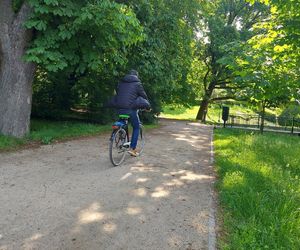 Park Miejski w Zamościu