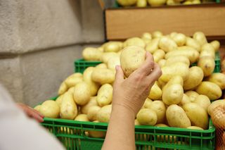 Nadwyżka plonów w regionie. Podkarpacka Izba Rolnicza mówi o klęsce urodzaju i apeluje o zakupy bezpośrednio u rolników