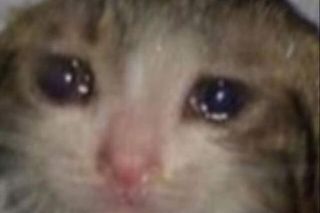 Polska - Mołdawia: Najlepsze memy