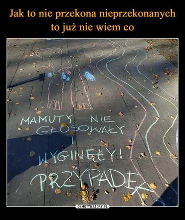 Wybory 2023 najlepsze MEMY. Szydera na maksa! Internauci bezlitośni dla polityków