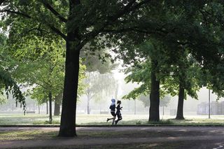  Wykuwamy Biegową Moc w Kikitach - biegamy i chodzimy z kijkami w lesie
