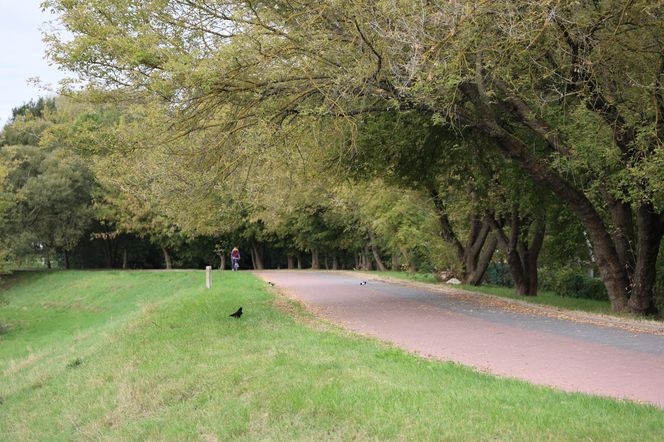 Jesienna odsłona terenów nad Bystrzycą w Lublinie. Tak się prezentuje w październiku