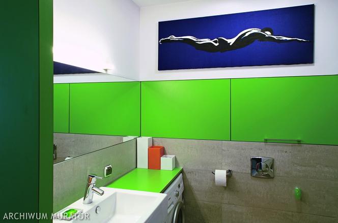 Zielona łazienka: z obrazem