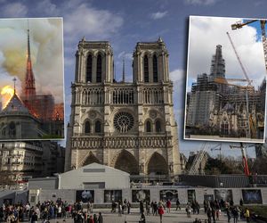 Katedra Notre Dame niebawem otwiera się po pożarze! Zobacz, jak wygląda teraz