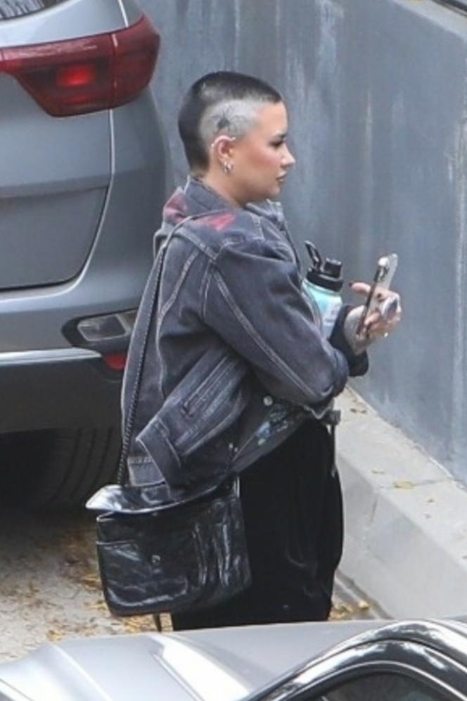 Demi Lovato pokazała się w nowej fryzurze