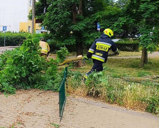 Burze nawiedziły województwo kujawsko-pomorskie. Zdjęcia z akcji strażaków
