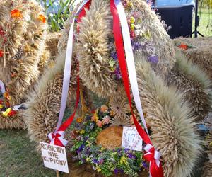 Gminne Święto Rolnicze w Radomku