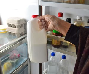 Laktoza - co to jest, w czym się znajduje i skąd się bierze nietolerancja laktozy?